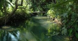 lovely crystal clear river in nong thale
