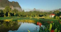 beautiful pond surrounded by nature
