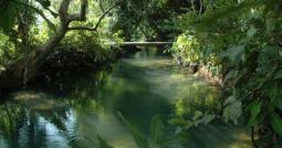crystal clear river at the residence